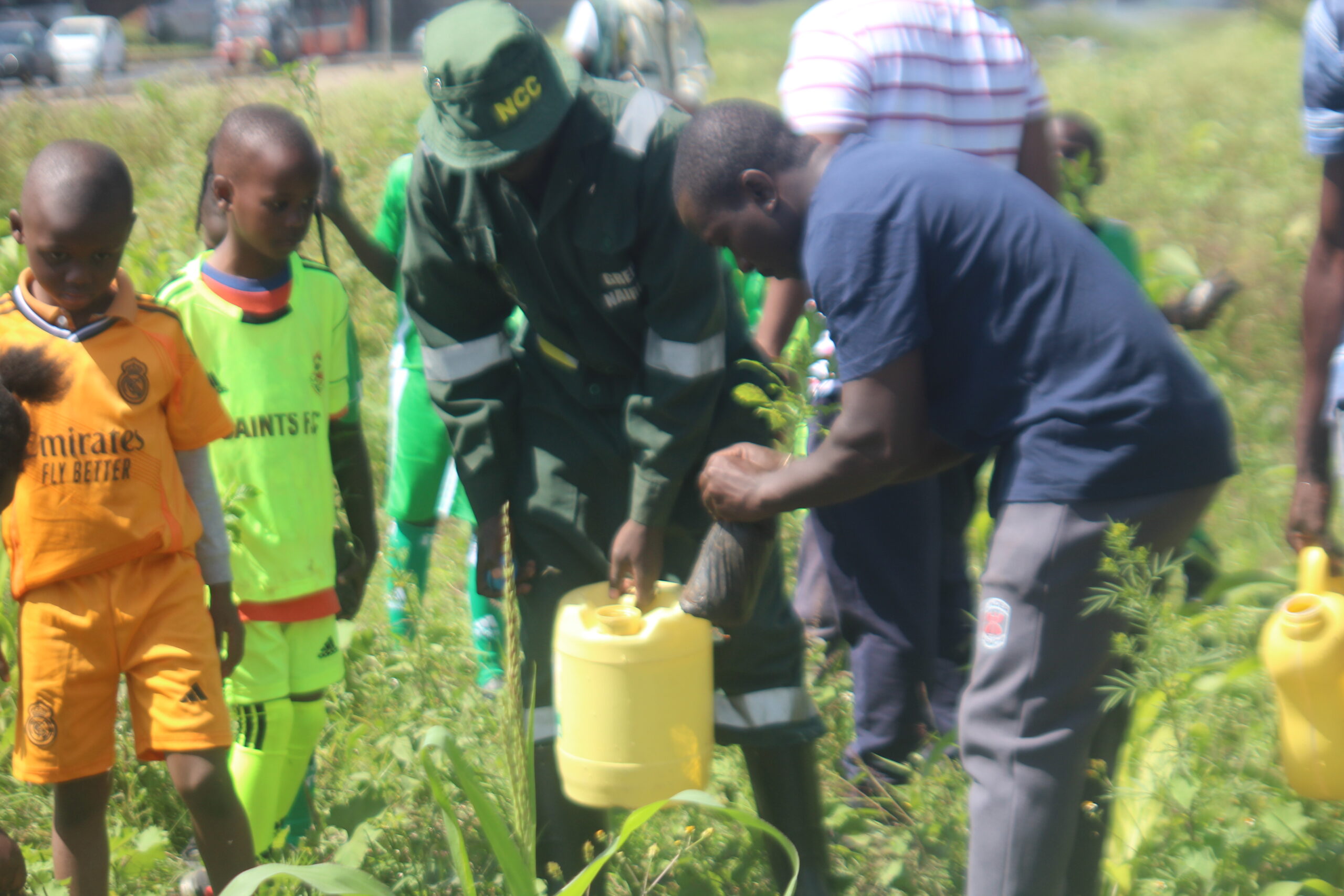 Let Us Plant Trees to Keep Our Planet Safe